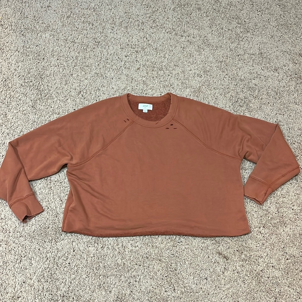 Cropped Aerie Burnt Orange Sweatshirt (Size S)